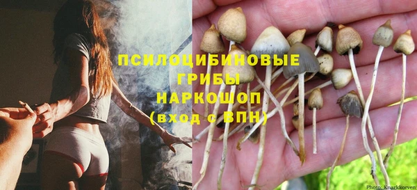 бошки Зеленодольск