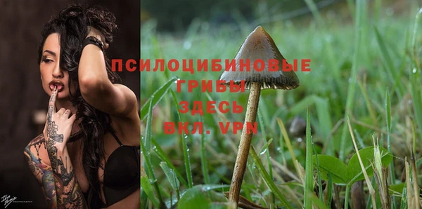 apvp Зеленокумск