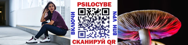 Купить  Каргат  Галлюциногенные грибы мухоморы 