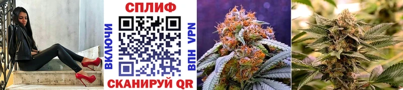 Канабис SATIVA & INDICA  Купить где  Каргат 